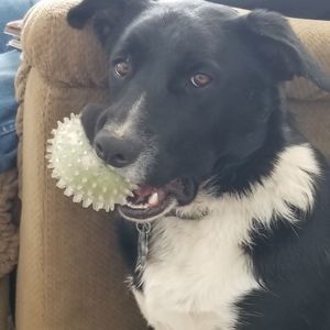 Meet your Posher, Mandy